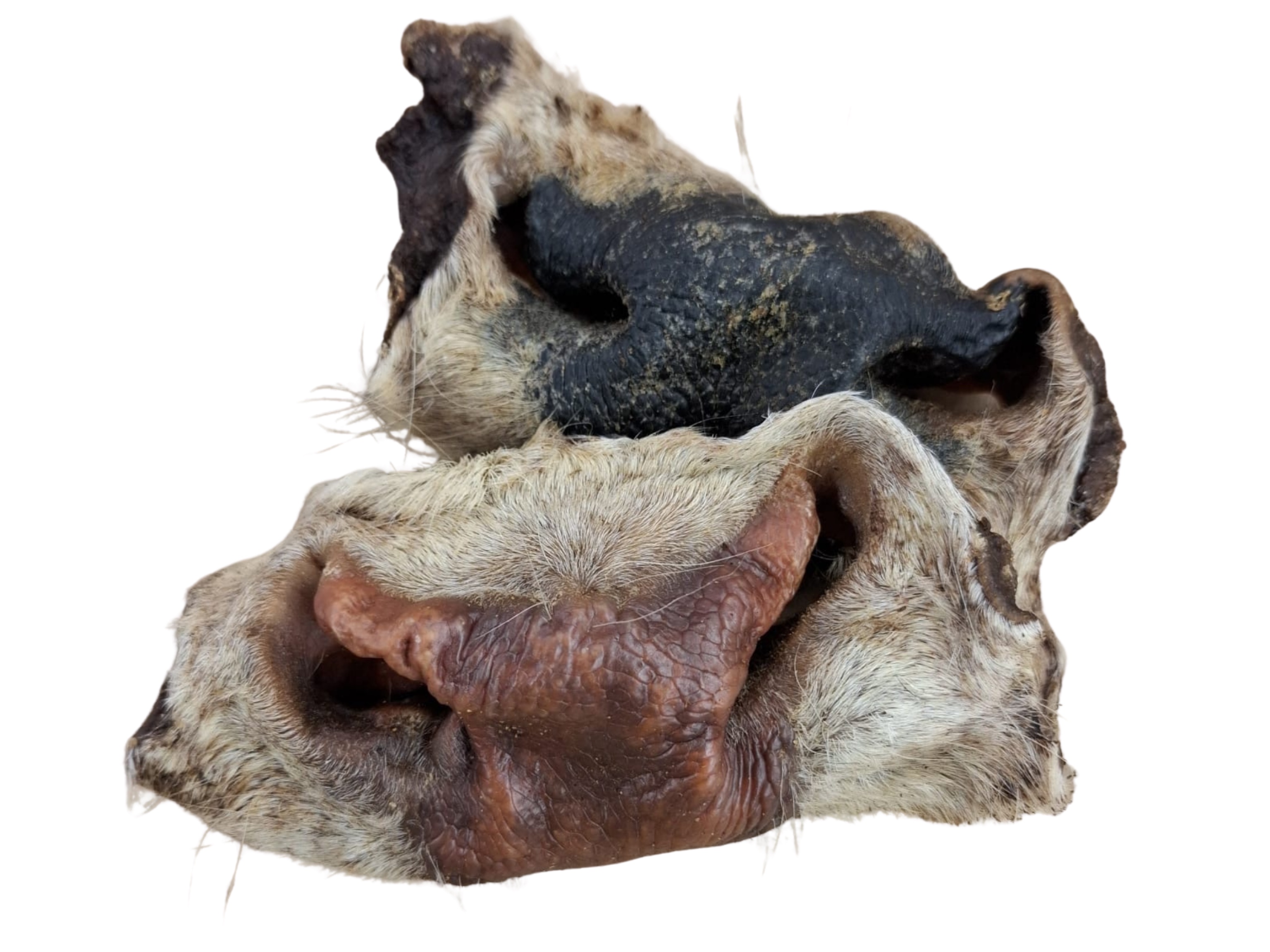 Rinder-Nasen mit Fell